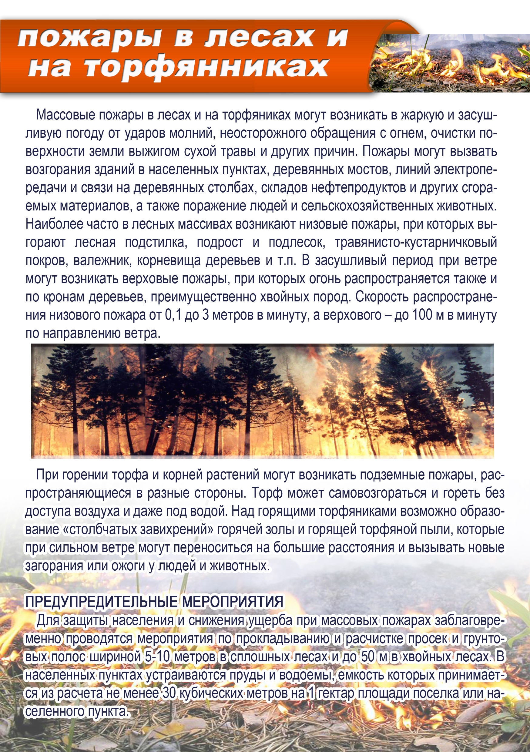 pamjatka-pozhary_v_lesakh_i_na_torfjannikakh.jpg