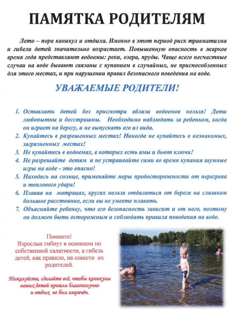 3105242.jpg