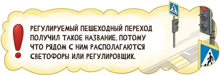 IMG_20241016_143632_742.jpg